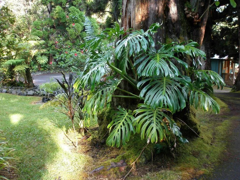 Bed and Breakfast Volcano Country Cottages